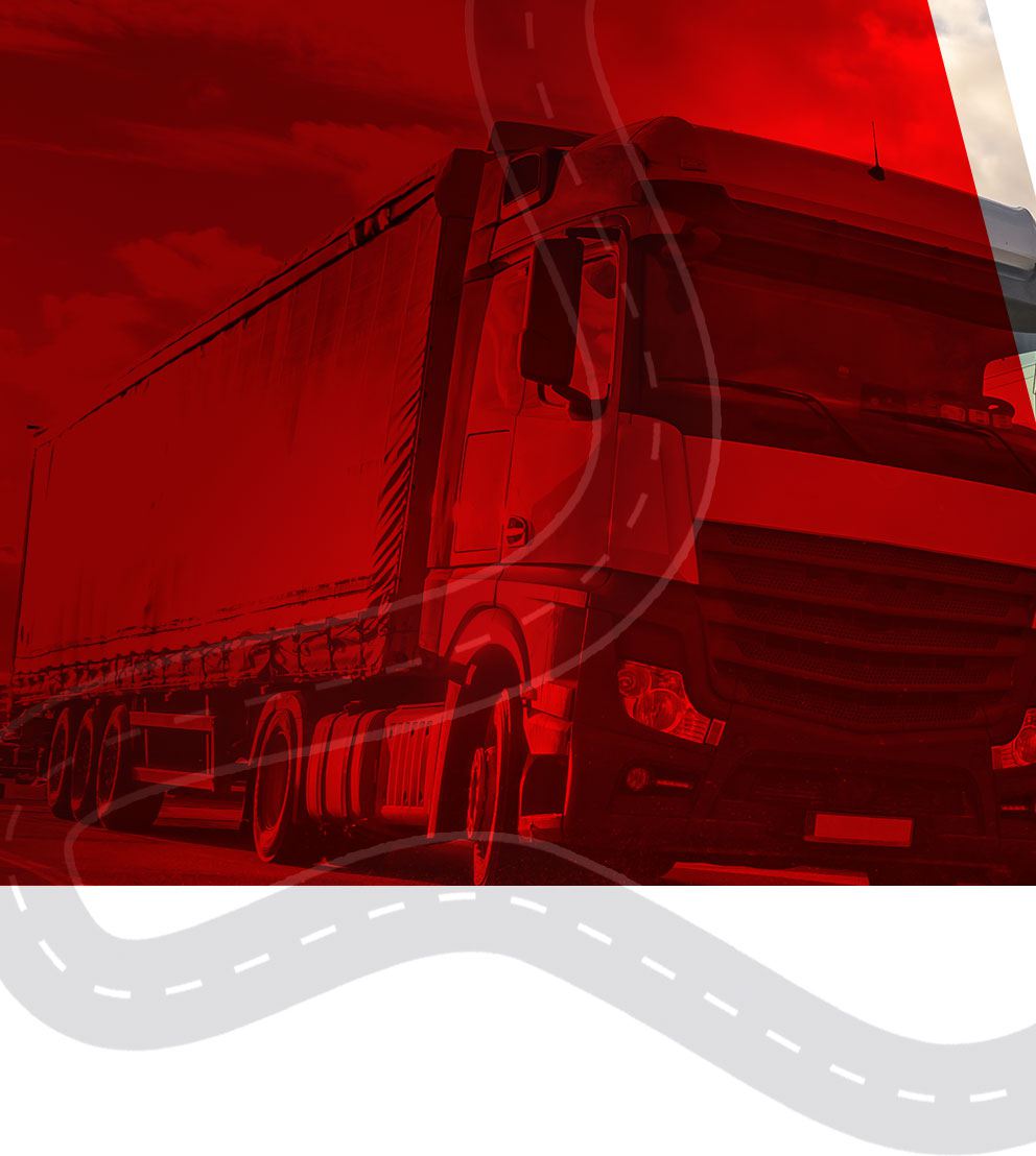 Web World Ejido Transport
