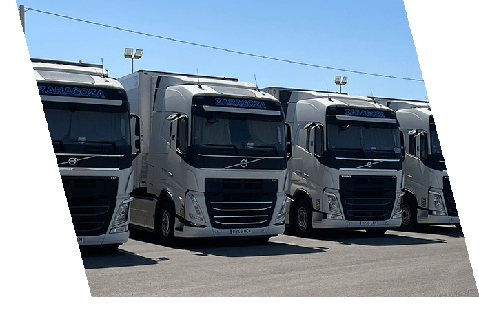 Camiones de la flota de World Ejido Transport